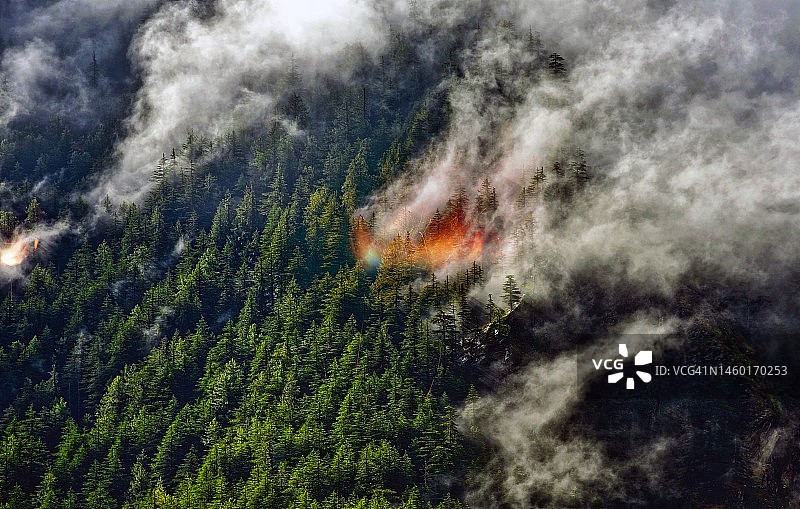 森林大火图片素材
