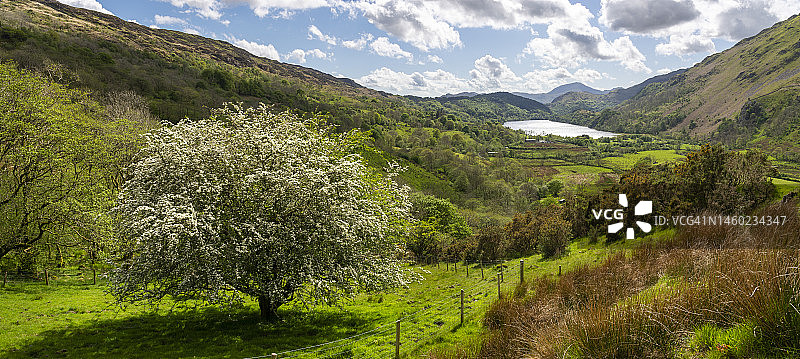 斯诺多尼亚南特格温南特的美丽春景，威尔士图片素材