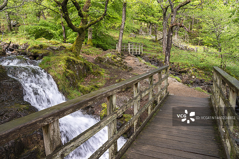 斯诺多尼亚国家公园沃金小径林地人行桥，威尔士图片素材