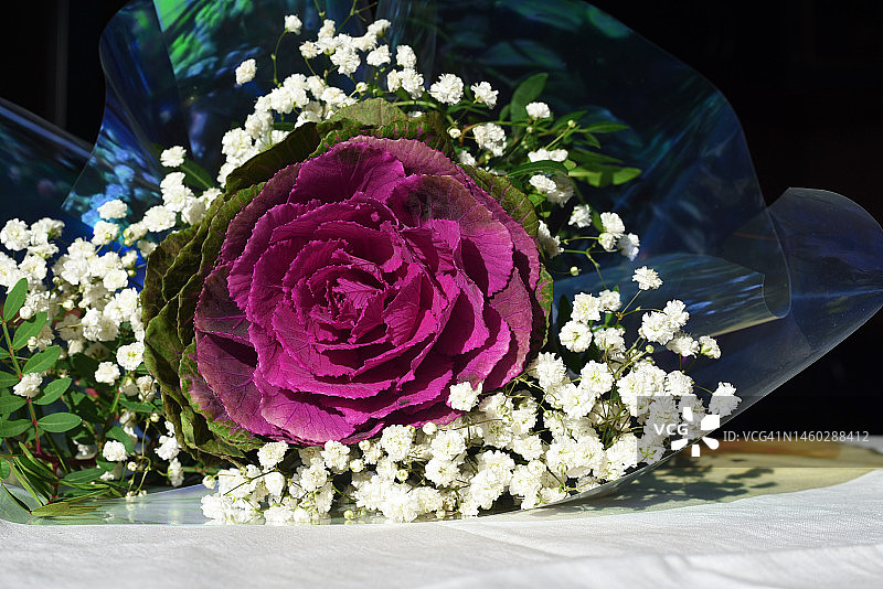 观赏甘蓝与满天星花束，勃艮第和白色简约花束，浅色背景图片素材