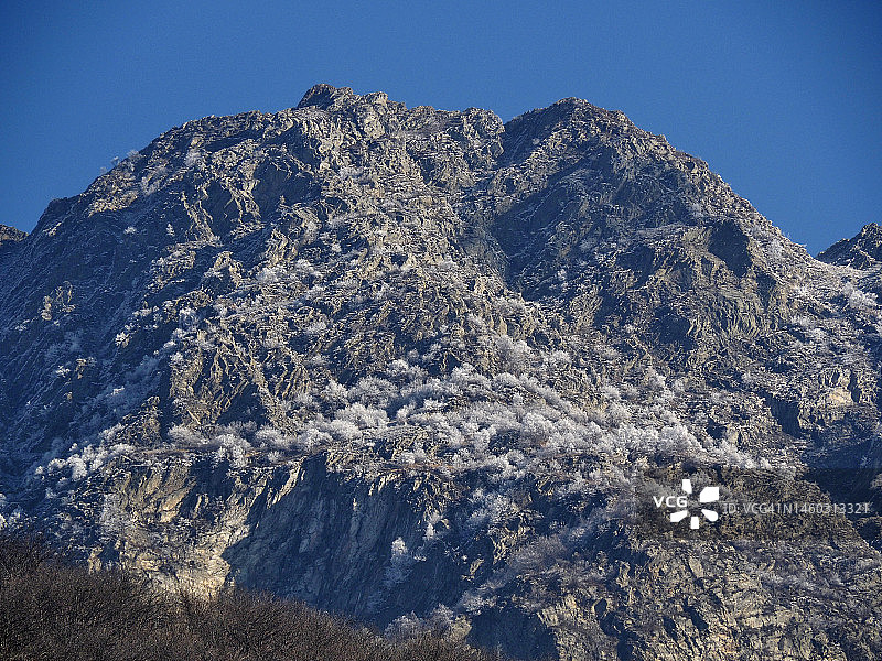 瓦尔格兰德国家公园光秃秃的树木上的霜图片素材