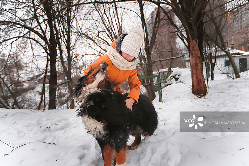 冬天里，儿童和狗在户外。青少年穿着冬装拥抱黑色的伯恩山犬图片素材
