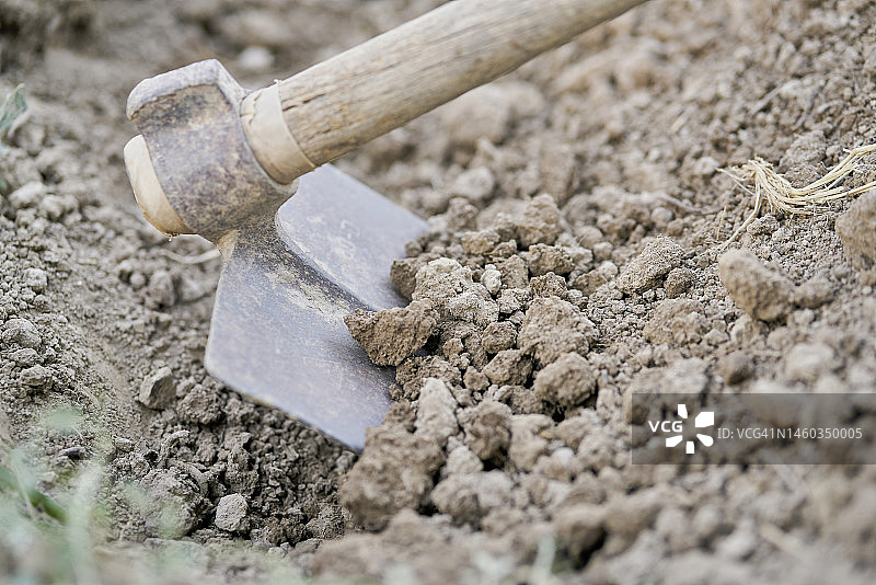 木柄农用铲（用于耕地，特写，侧视图）图片素材