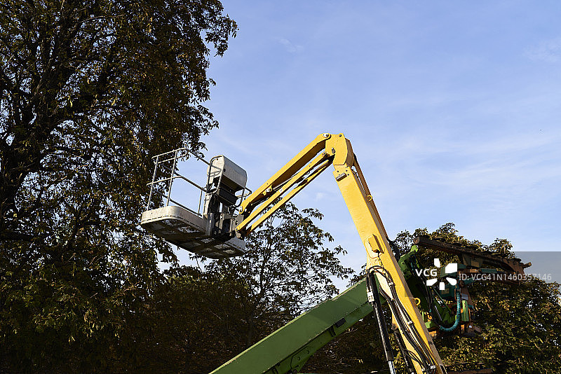 公园内修剪树木的升降平台机械（低角度）图片素材