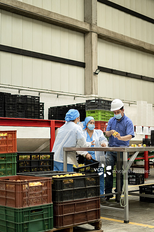 质量控制检验员与有机食品生产工厂的员工一起检查水果图片素材