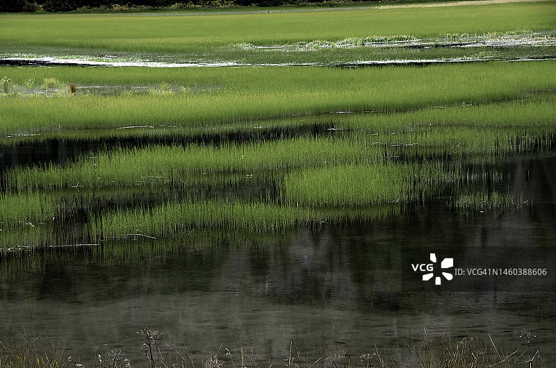 华盛顿州喀斯喀特山脉鱼湖风光图片素材