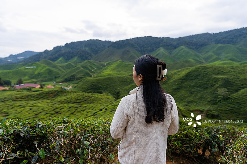 在马来西亚金马伦高原茶园旅行的女子背影图片素材