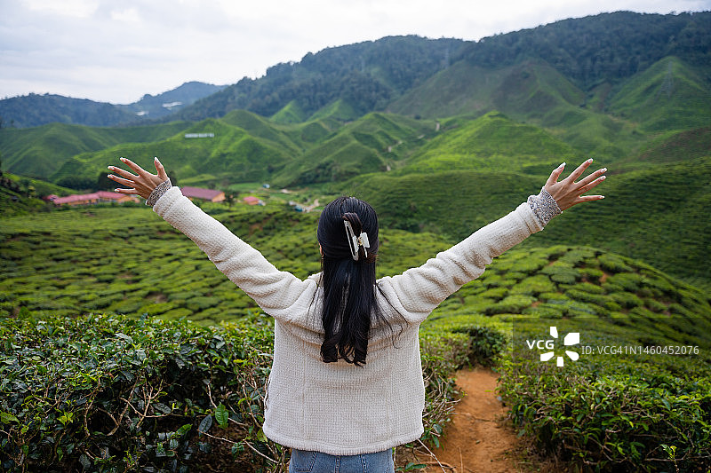 在马来西亚金马伦高原茶园旅行的女子背影图片素材