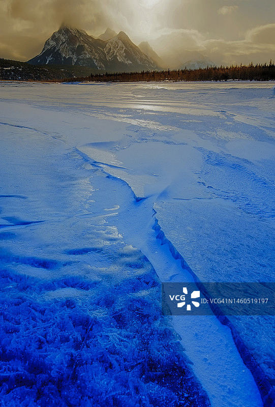 金色早晨图片素材