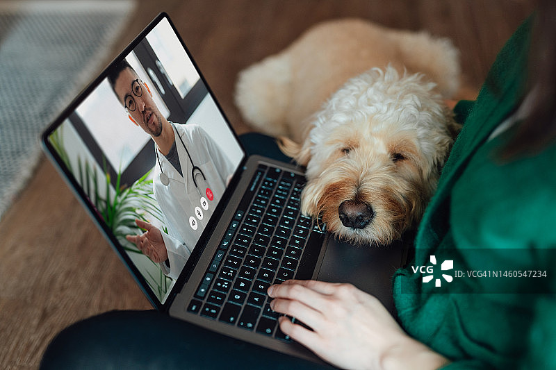 年轻的亚洲女性通过笔记本电脑与兽医进行在线医疗咨询，她的狗坐在她的腿上图片素材