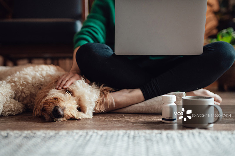 年轻的亚洲女人通过笔记本电脑与兽医进行在线医疗咨询，她的狗躺在身边图片素材