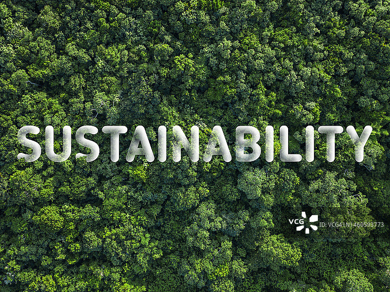 热带雨林上漂浮着英文单词“Sustainability”：绿色热带植物和树木的抽象图像图片素材