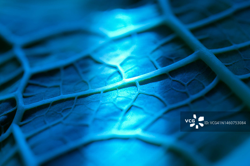 抽象充满活力的色彩网络概念背景图片素材