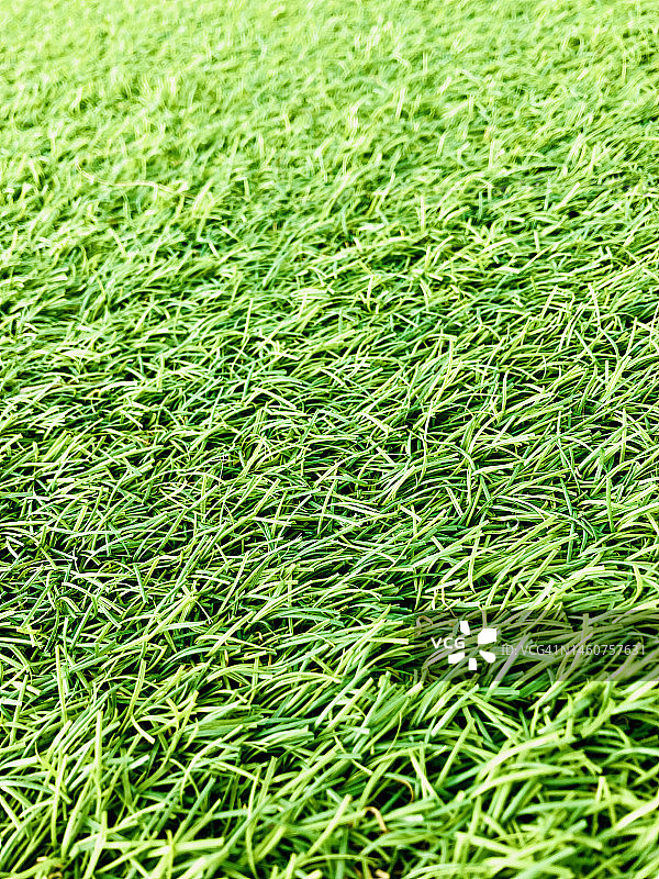 草地01图片素材