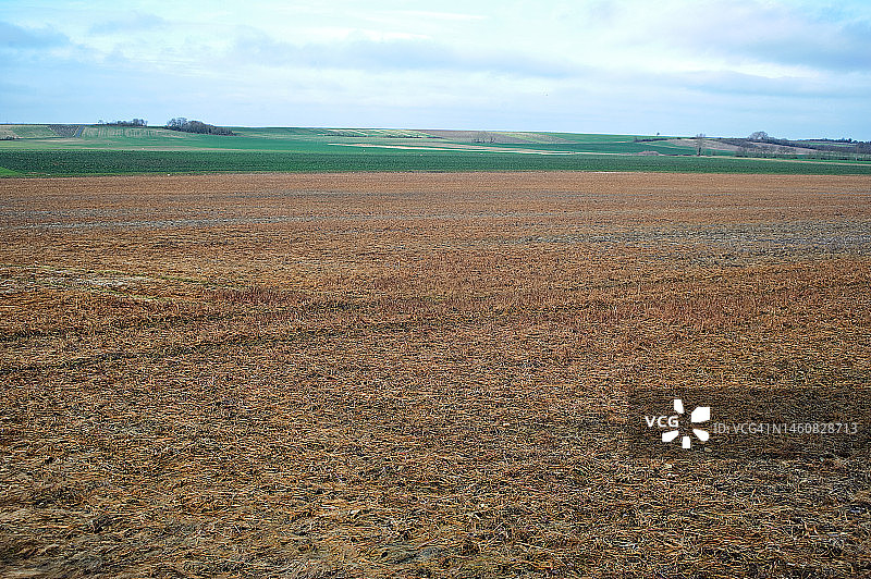 喷洒了除草剂的田野（法国）图片素材