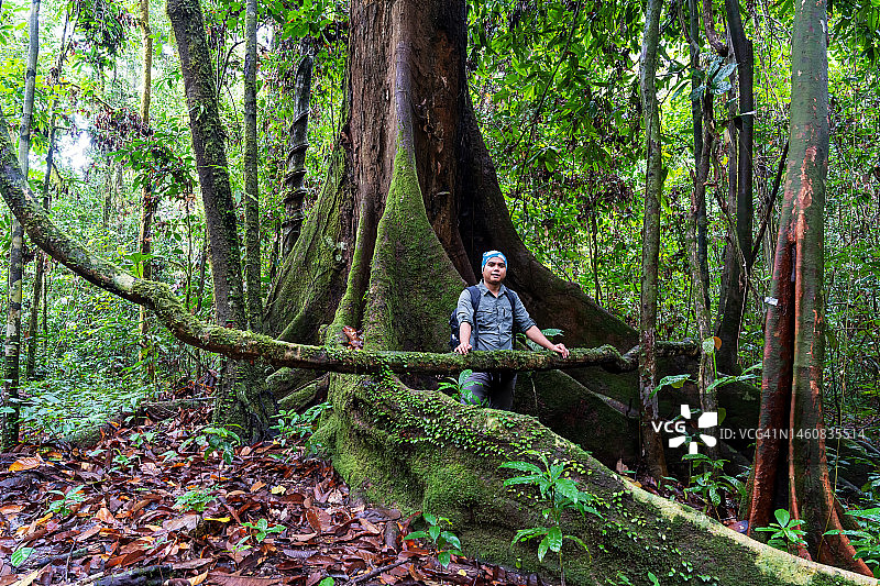 男人站在拉哈德达图达南谷雨林中，龙脑香树的大板根旁图片素材