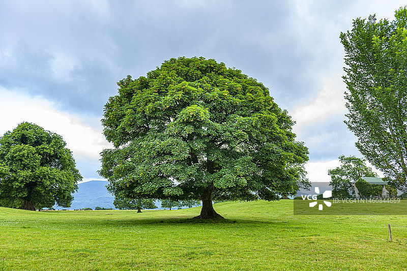 爱尔兰基拉尼国家公园图片素材