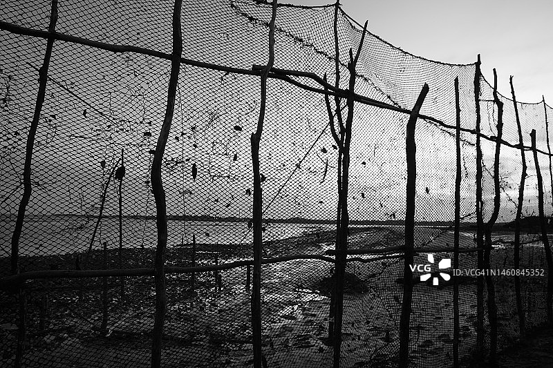 Marajó Island Amazon Brazil图片素材