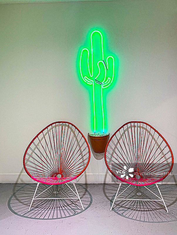 两把椅子和巨人柱仙人掌图片素材