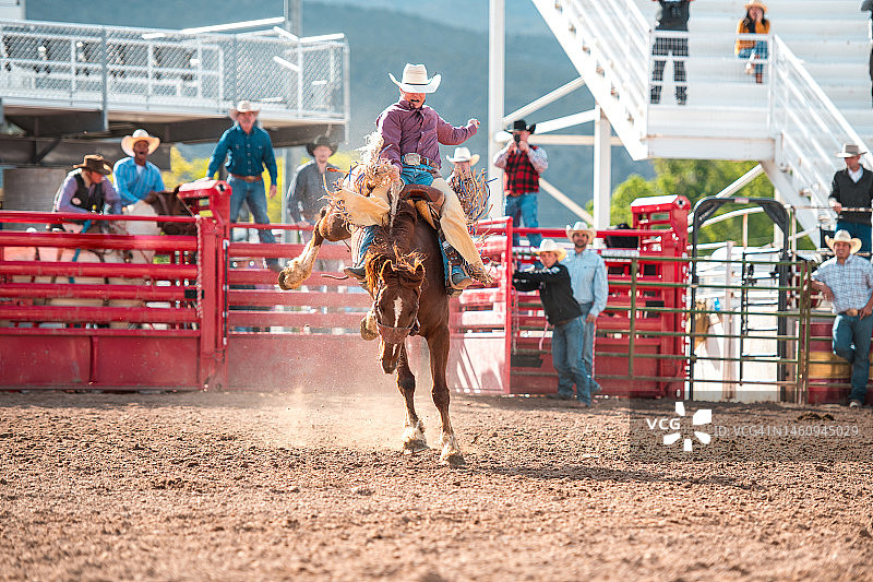 牛仔骑着一匹烈马图片素材