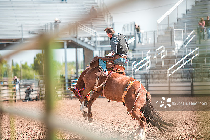 牛仔骑着一匹烈马图片素材