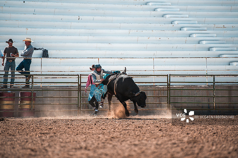 牛仔从烈性公牛上摔落图片素材