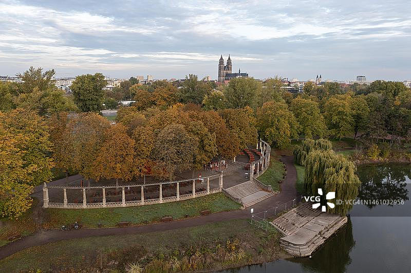 德国马格德堡市政公园的秋季落叶树木图片素材