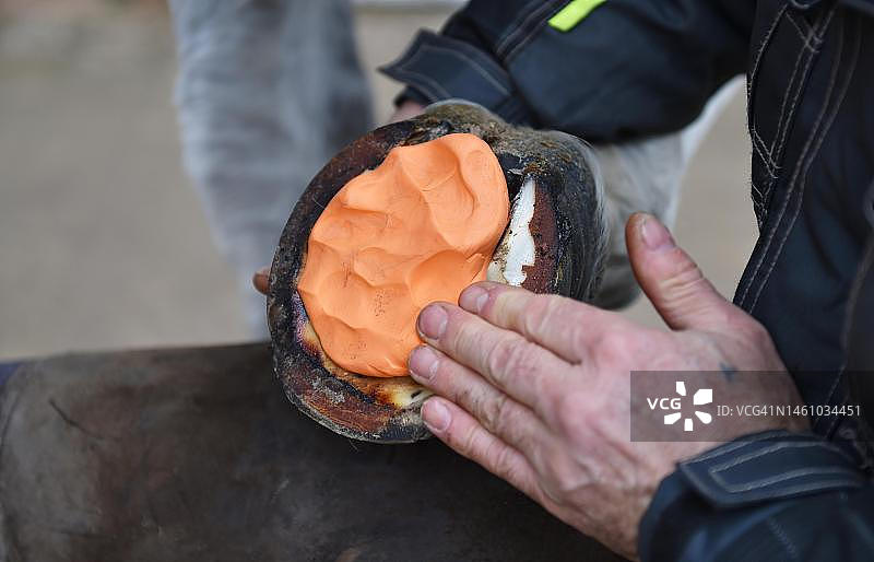 马蹄匠为德国黑森州的马制作新马蹄铁图片素材