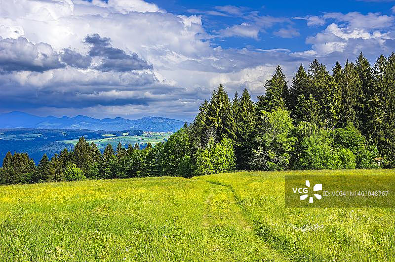 德国巴伐利亚林道附近Scheidegg市西部阿尔高乡村的茂盛山地草甸图片素材