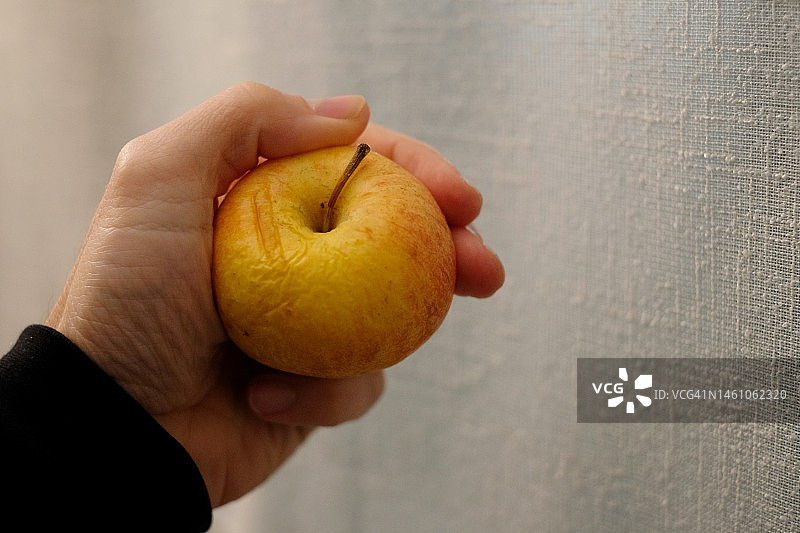 手中拿着枯萎苹果的正面图图片素材