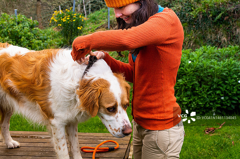 女人为她的狗戴项圈，宠物配饰图片素材