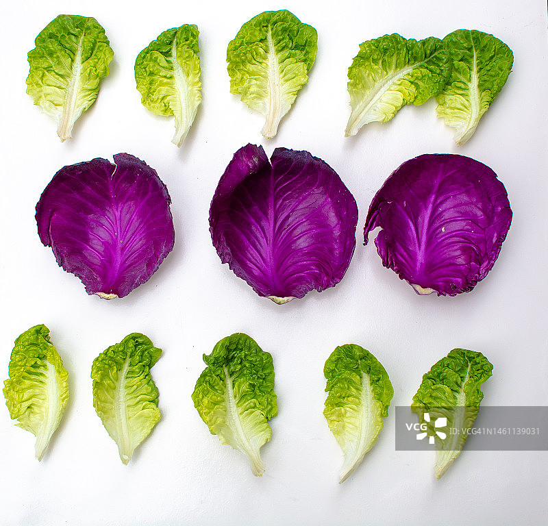 生菜叶和紫甘蓝叶拼图图片素材