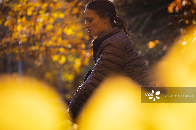 穿保暖夹克的女人坐在黄叶林中图片素材