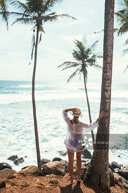 棕榈林的女孩图片素材