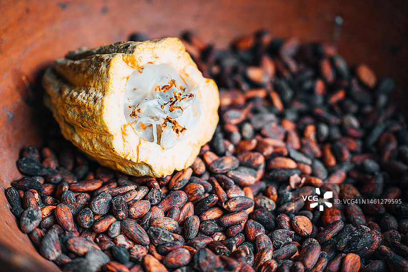 可可豆和果实特写图片素材