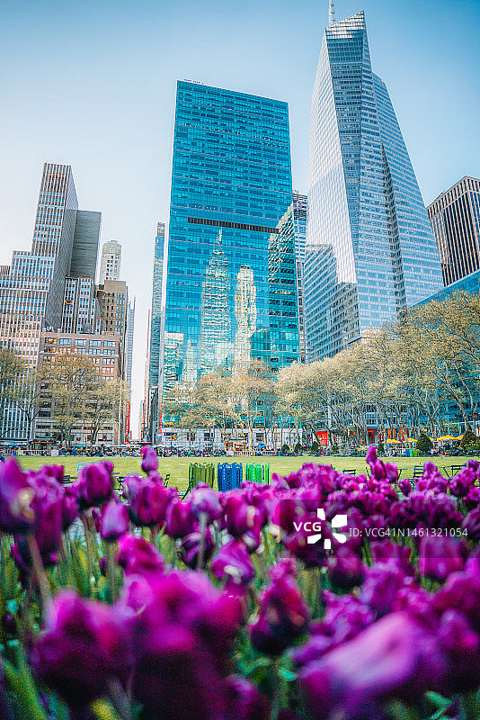 纽约市的春天图片素材