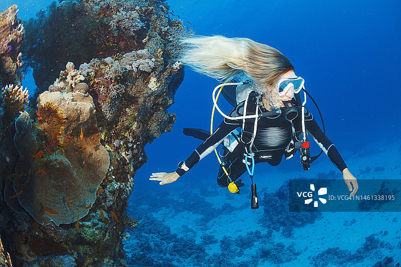 水下：水肺潜水员探索和欣赏珊瑚礁海洋生物图片素材