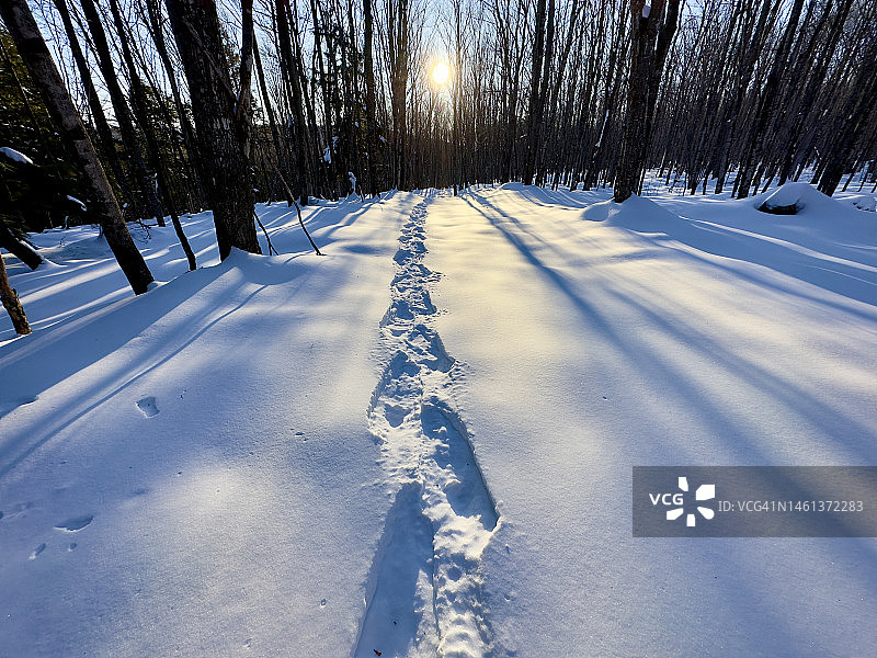 午后新鲜雪地上的雪鞋痕迹图片素材
