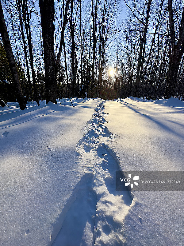 午后新鲜雪地上的雪鞋痕迹图片素材