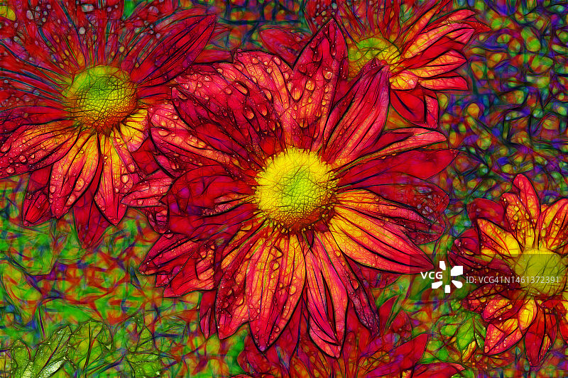 纽约彩色鲜花全画幅拍摄图片素材