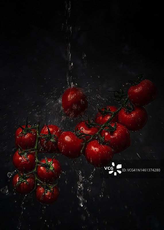 黑色背景下的湿樱桃特写图片素材