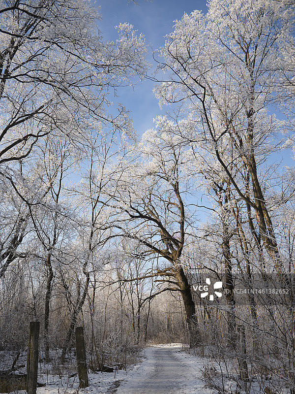 冬季俄罗斯沃罗涅日州空旷的道路图片素材