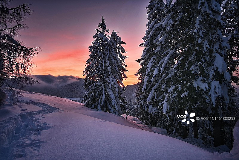 斯洛文尼亚兹戈尔尼亚·斯利夫尼察日落时分雪景树木图片素材
