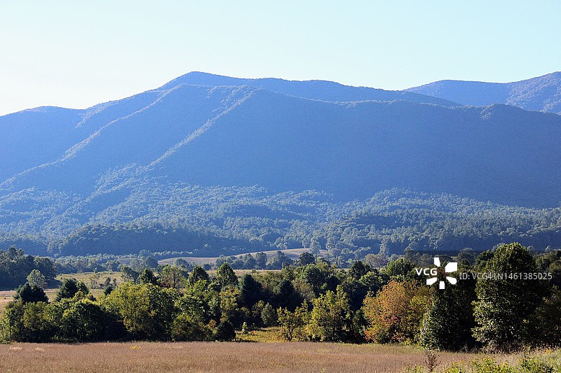 美国大雾山树木山脉的晴朗天空景色图片素材