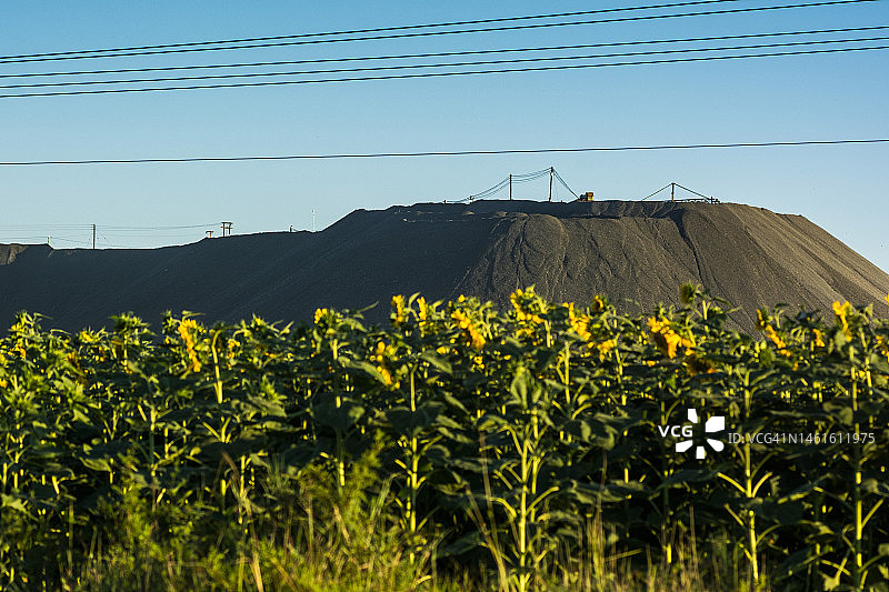 向日葵田地后的矿石堆图片素材