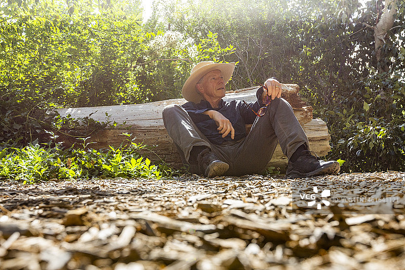 在倒下的树旁休息的年长男人图片素材