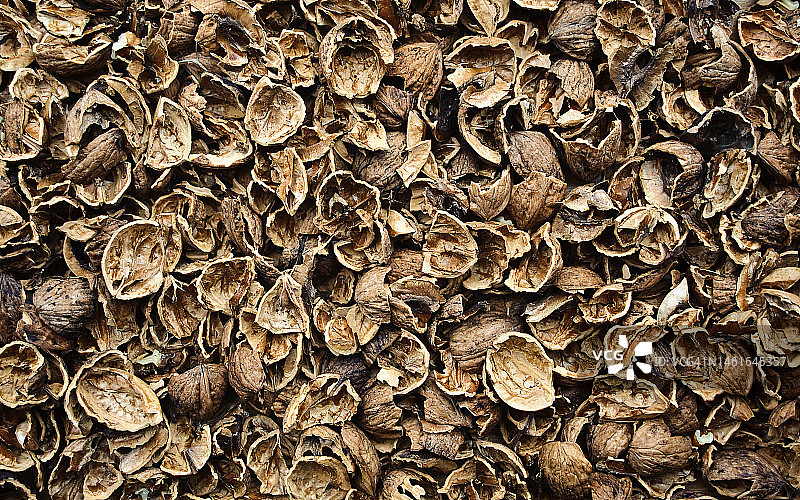 核桃壳图片素材