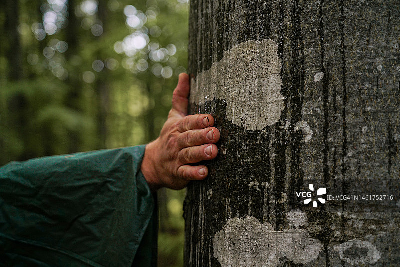 手放在树上（特写）图片素材