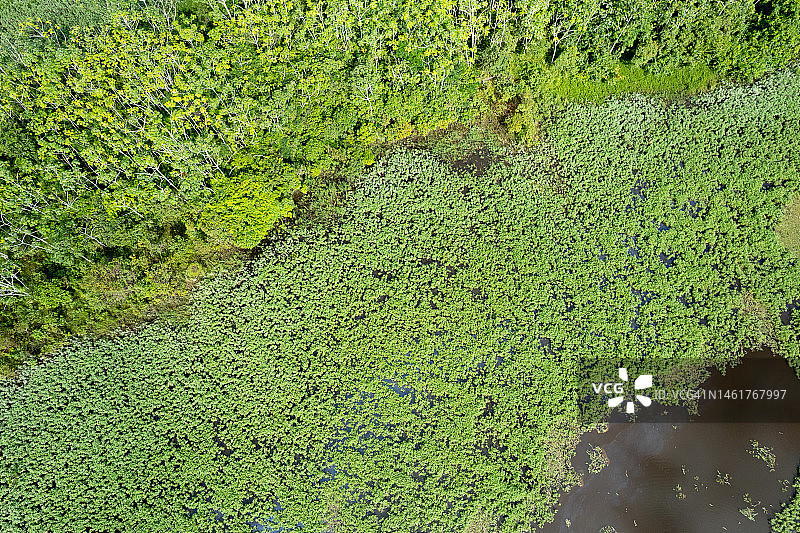 亚马逊地区鸟瞰图图片素材