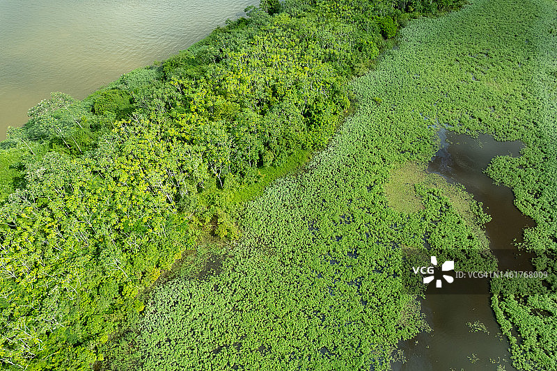 亚马逊地区鸟瞰图图片素材